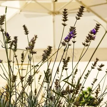 Hotel Estera - & Restauracja 4*