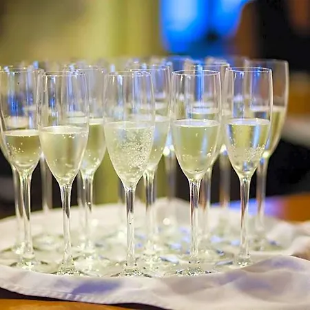 艾斯特拉别墅餐厅酒店 4* Michałowice