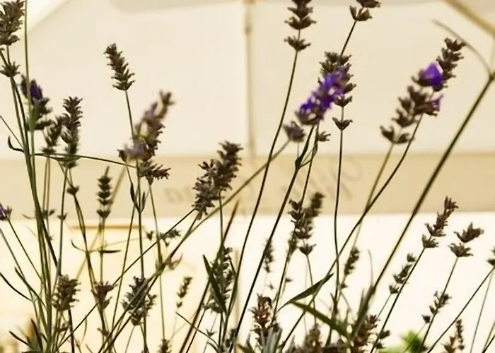 Hotel Estera - Hotel&restauracja 4*